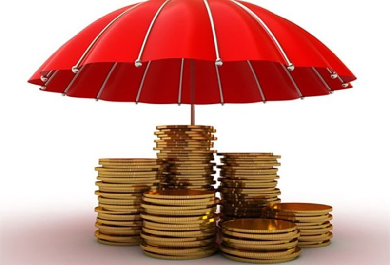 Bản tin đầu tư tài chính và thuế kỳ 31 tháng 10 năm 2023